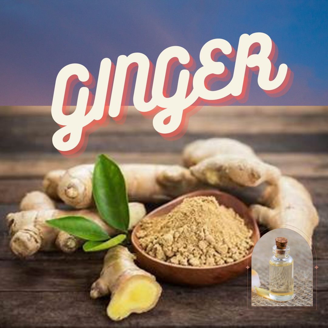 Ginger's Green Journey: Unveiling the Health Benefits, Essential Oil Magic, and Home Remedies