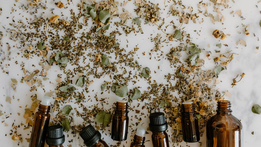 Ultimate Guide: Using Essential Oils in Your Garden for Natural Pest Control