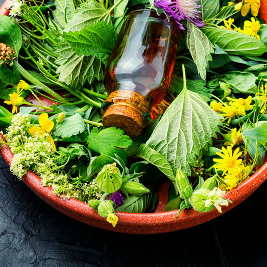 Physical and Spiritual Phenomena of Natural Healing