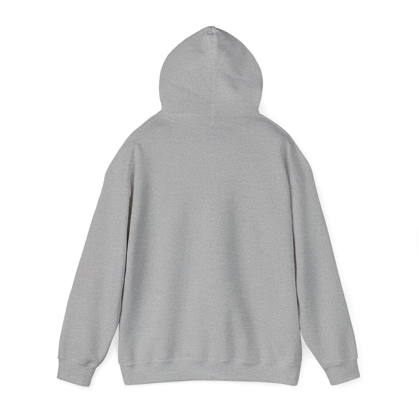 "Choose up" Unisex Heavy Blend Hooded Sweatshirt