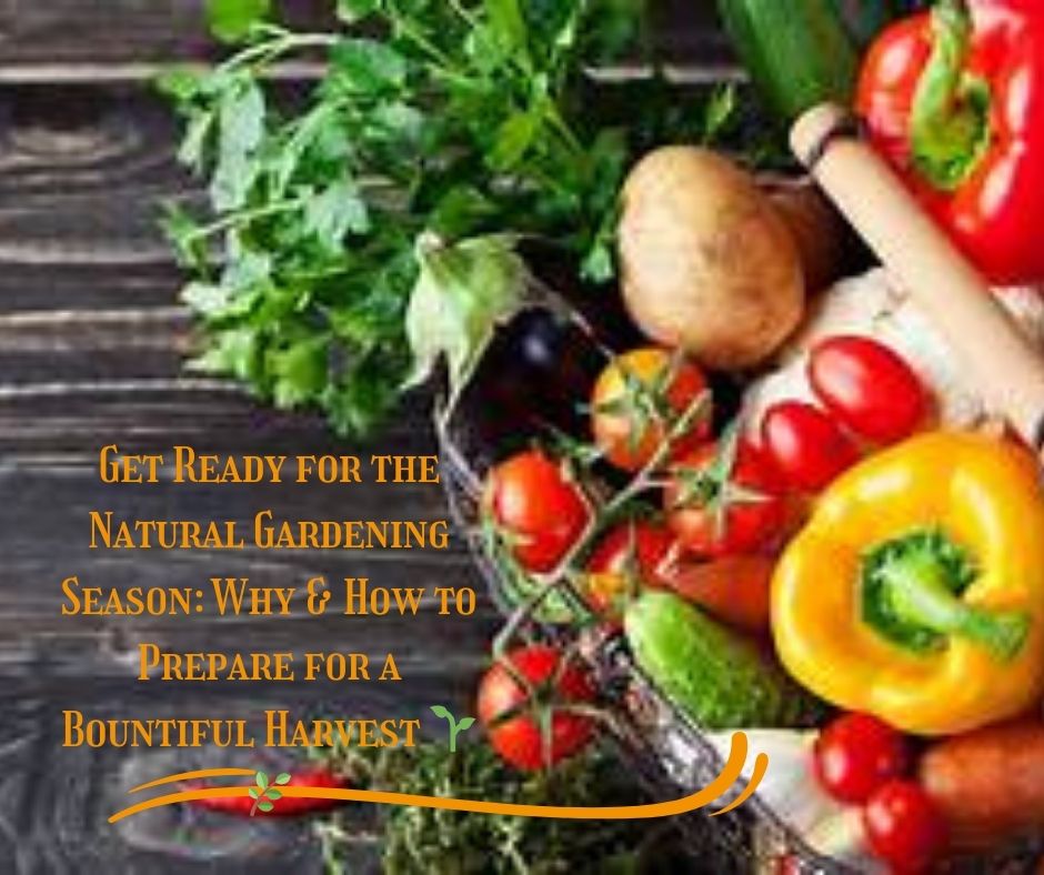 Get Ready for the Natural Gardening Season: Why & How to Prepare for a Bountiful Harvest 🌱🌿