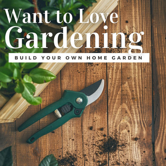 The Ultimate Guide to Planning and Planting Your Garden Season-to-Season