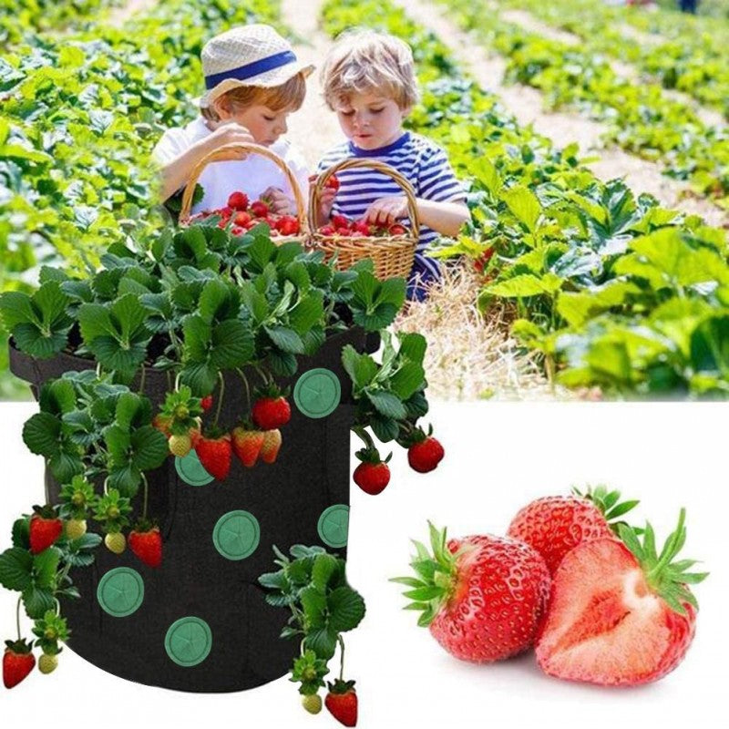 Strawberry Grow Bag Nonwoven Fabric Vertical Jardin Garden