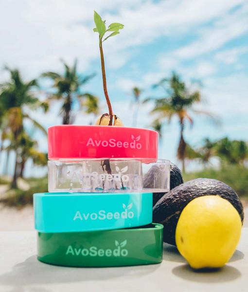 AvoSeedo Plant Pot Set