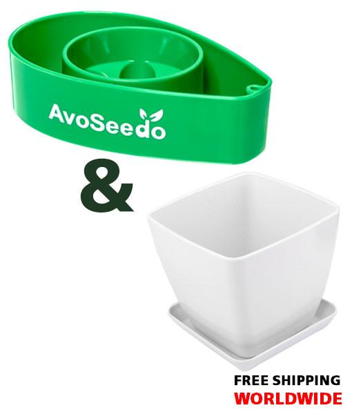 AvoSeedo Plant Pot Set