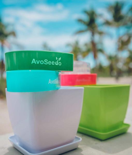 AvoSeedo Plant Pot Set